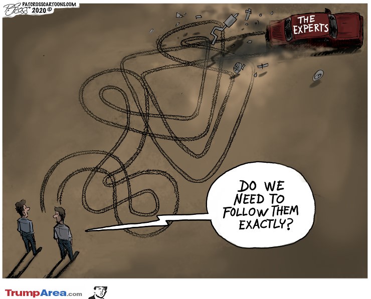 The Experts