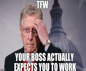 The Face When