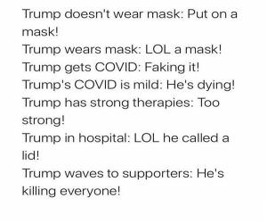 The Fake News Everyone