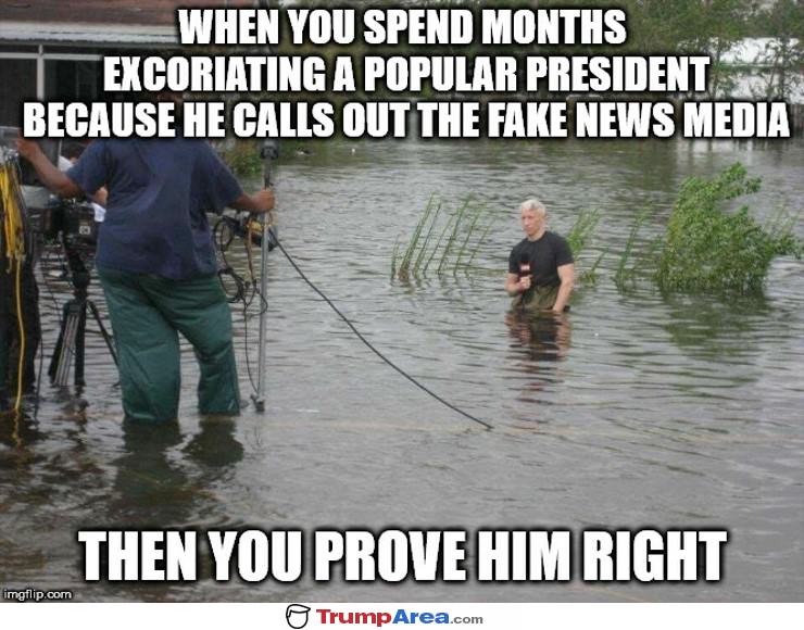 The Fake News