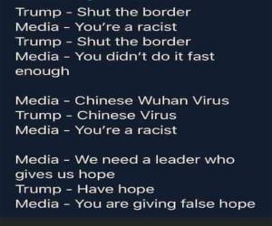 The Fake News
