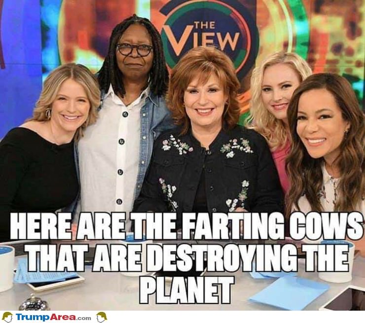 The Farting Cows
