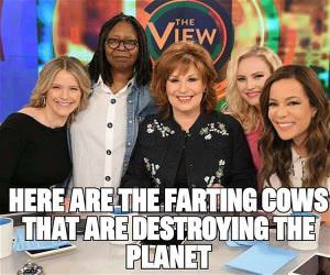 The Farting Cows