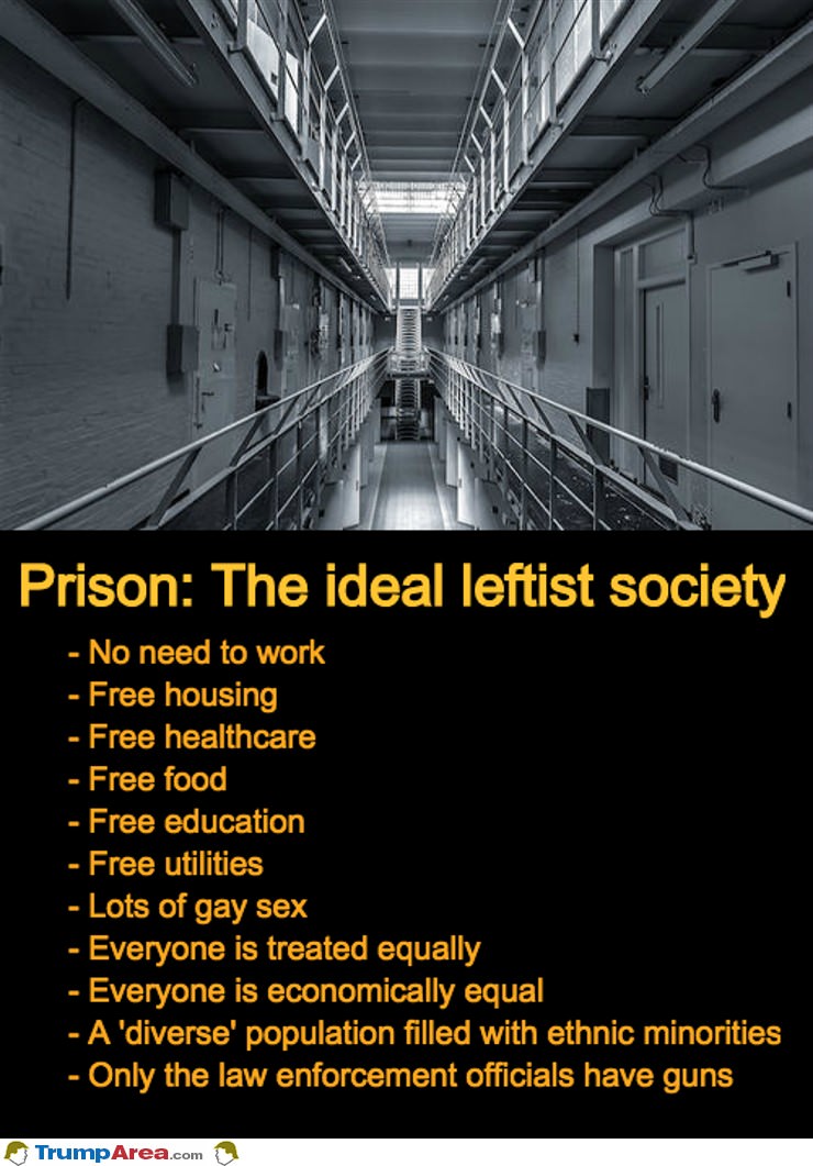 The Ideal Leftist Society