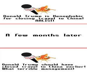 The Idiots On The News