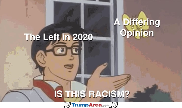 The Left In 2020
