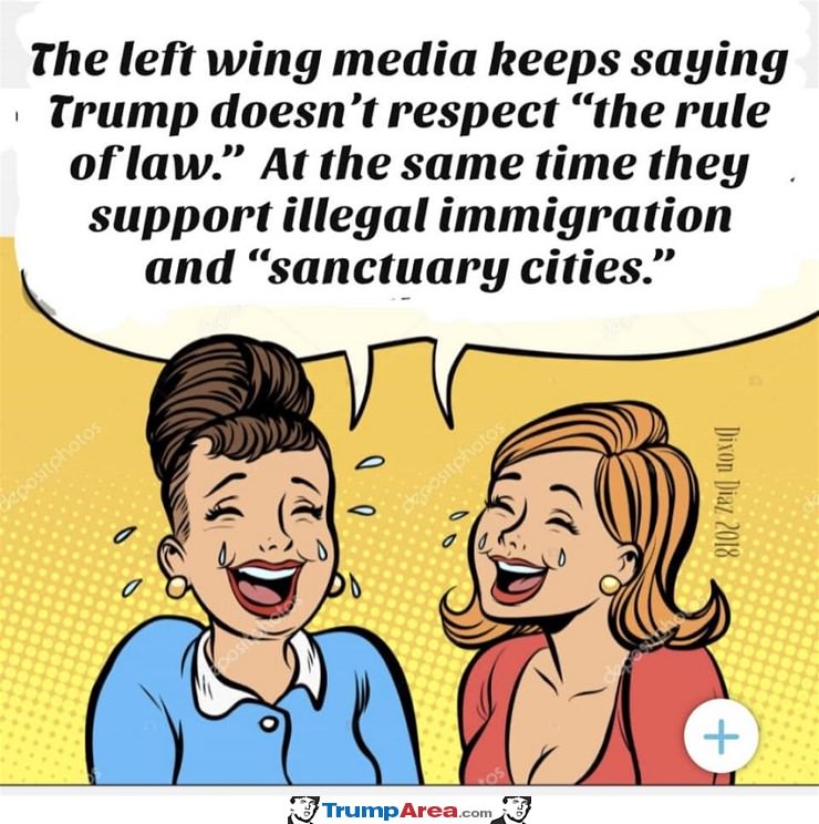 The Left Wing Media
