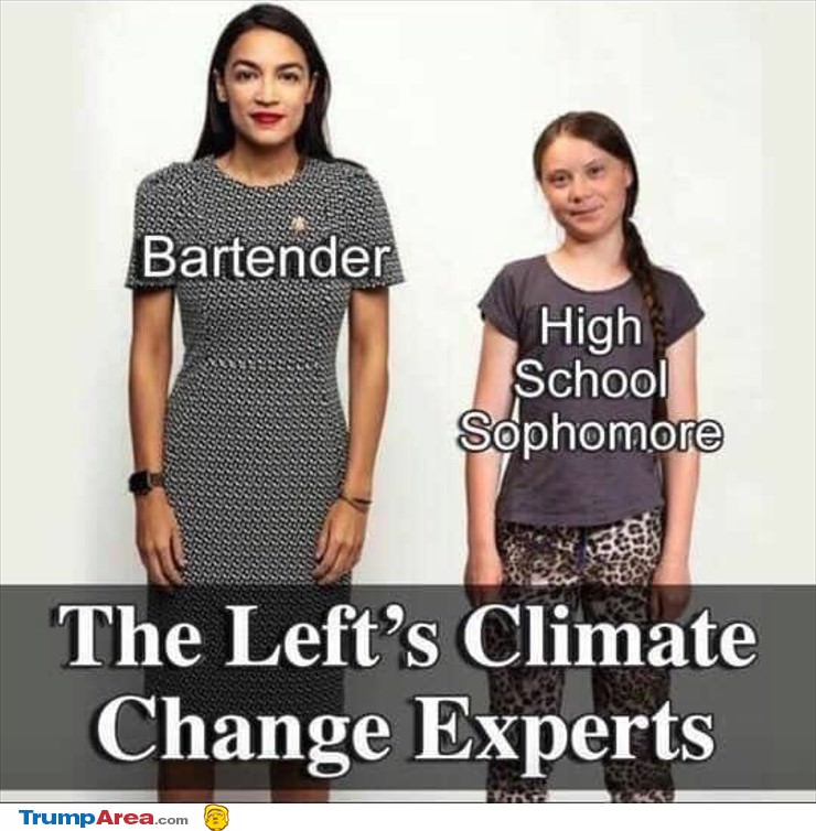 The Lefts Experts