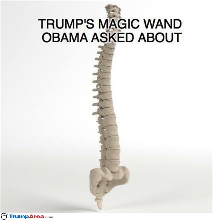 The Magic Wand