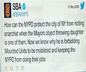 The Mayor Of New York