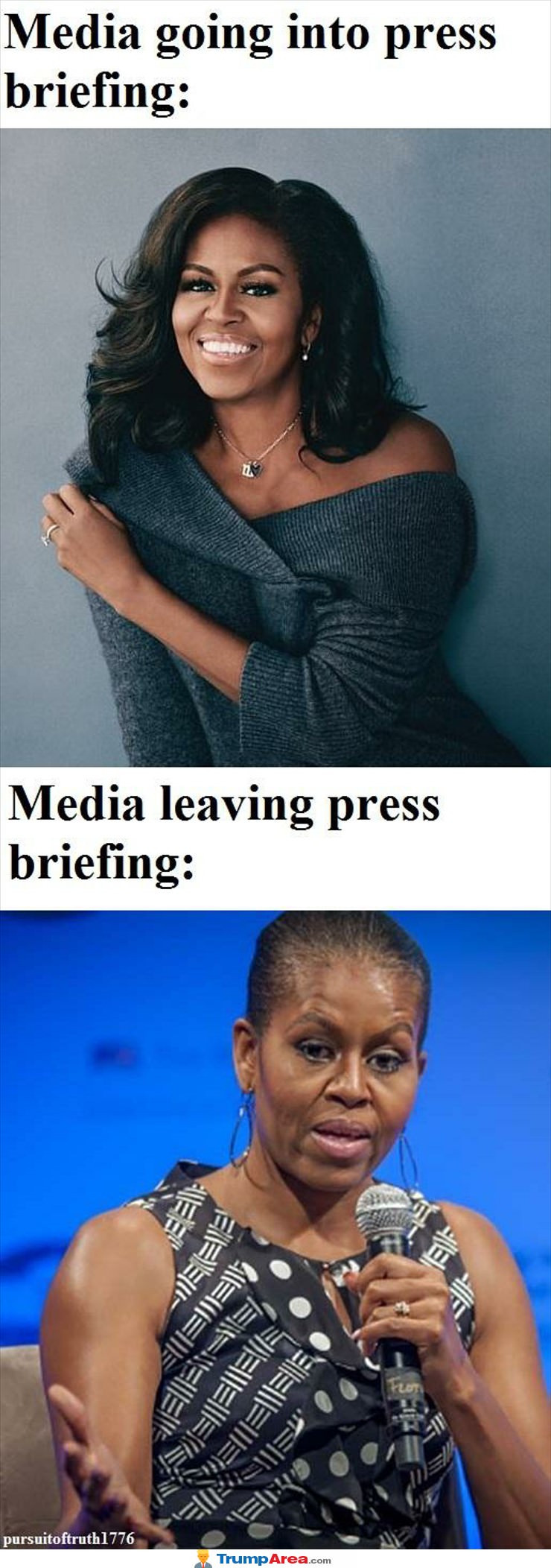 The Media