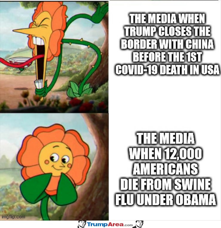 The Media