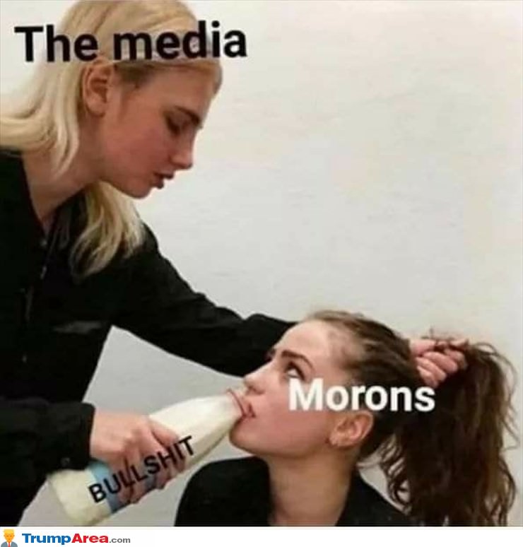 The Media