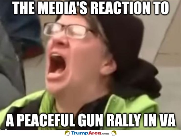 The Medias Reaction