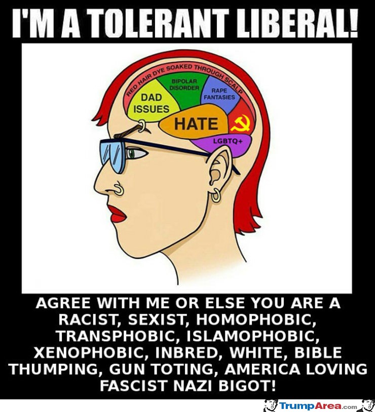 The Mind Of A Liberal