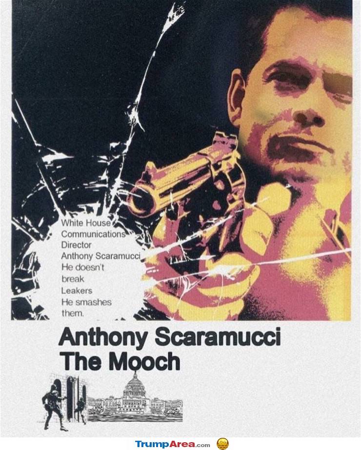 The Mooch