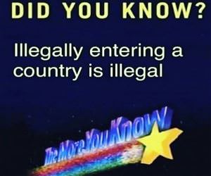 The More You Know