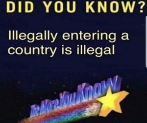 The More You Know