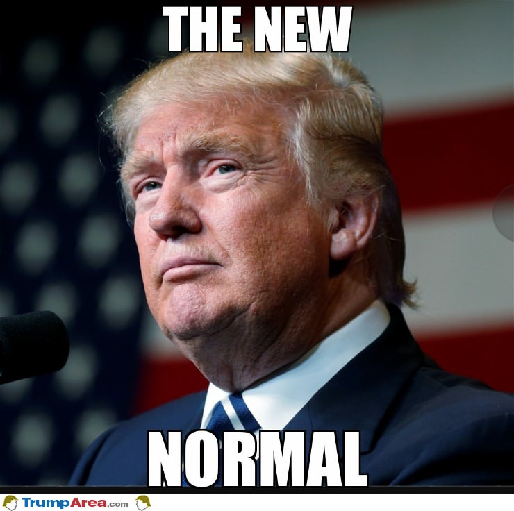 The New Normal