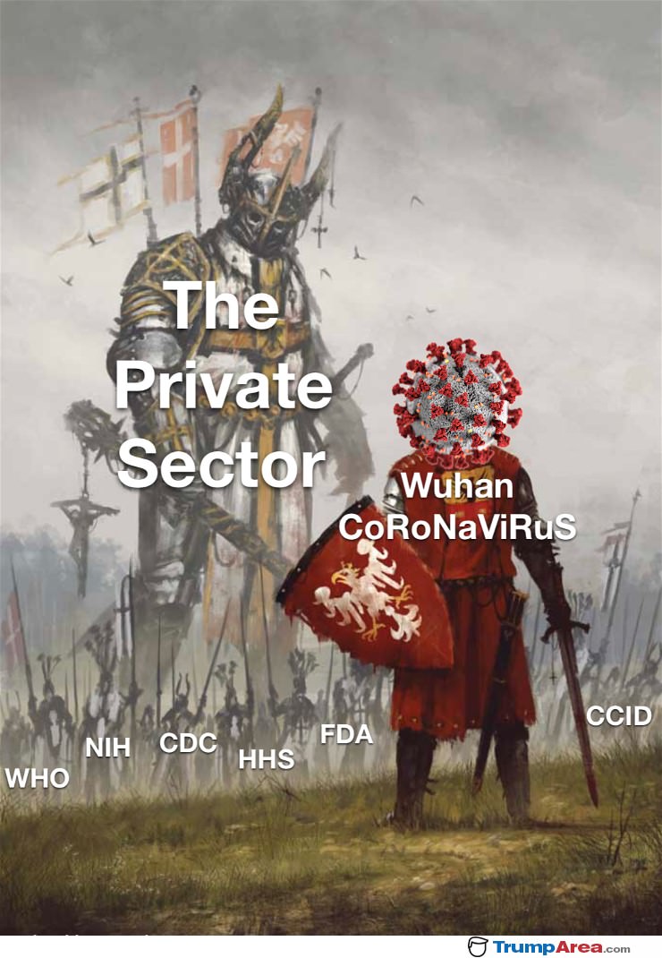 The Private Sector