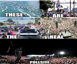 The Real Polls
