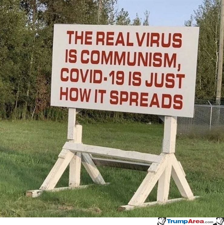 The Real Virus