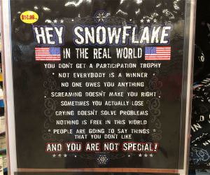 The Real World