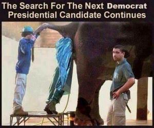 The Search Continues