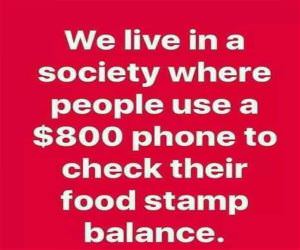 The Society We Live In