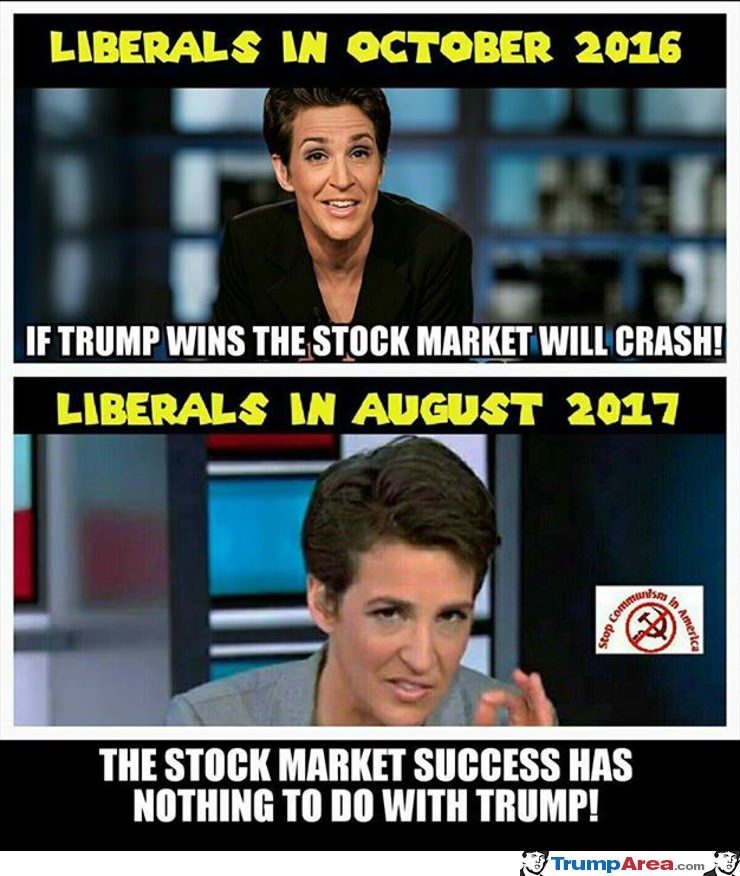 The Stock Market