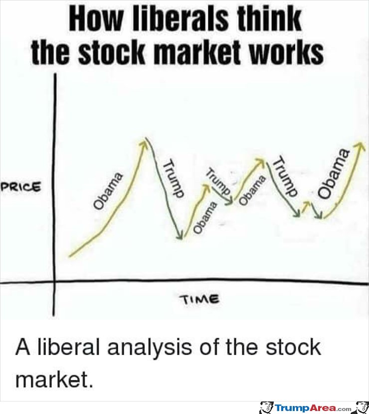 The Stock Market