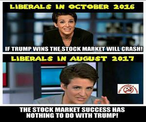 The Stock Market