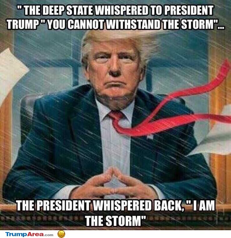 The Storm
