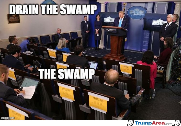 The Swamp