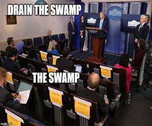 The Swamp