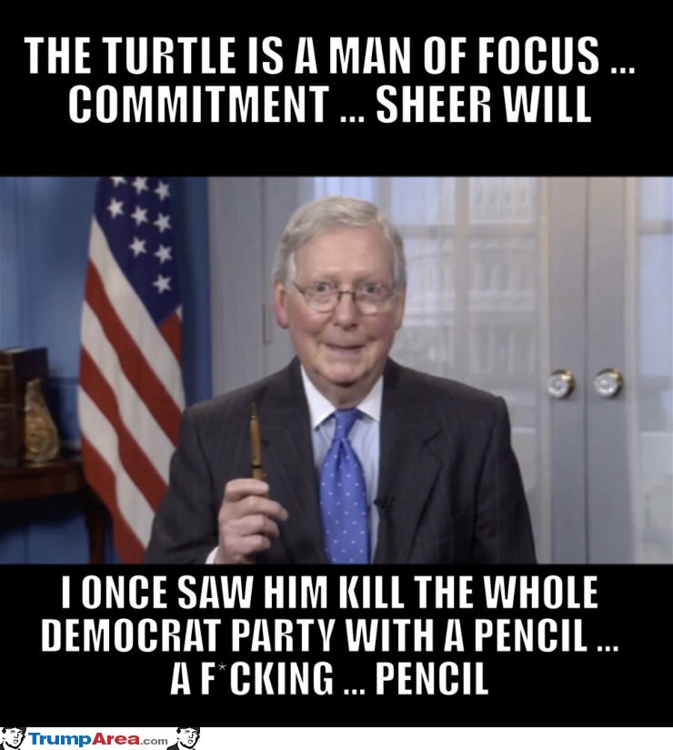 The Turtle