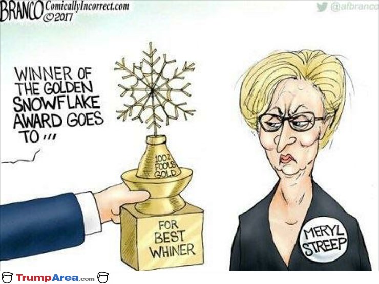 The Winner Of The Golden Snowflake