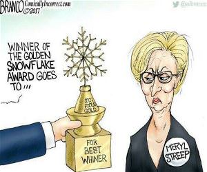The Winner Of The Golden Snowflake