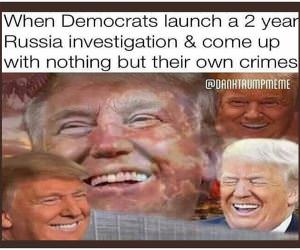 They Are So Stupid