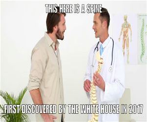This Here Is A Spine
