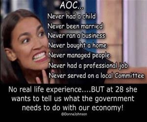 This Idiot