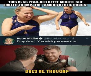 This Idiot