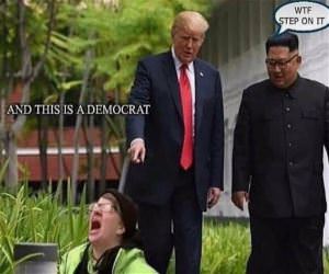 This Is A Democrat