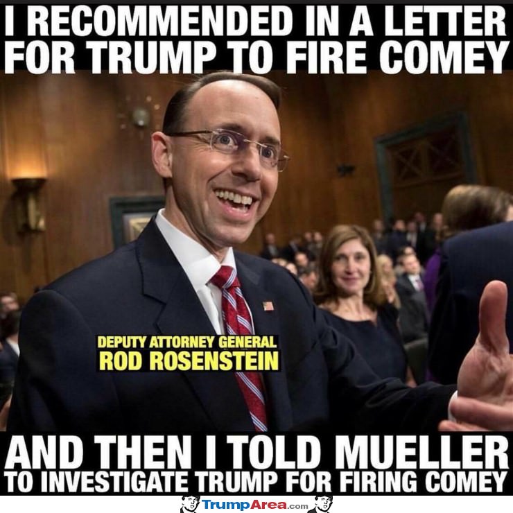 This Swamp Rat