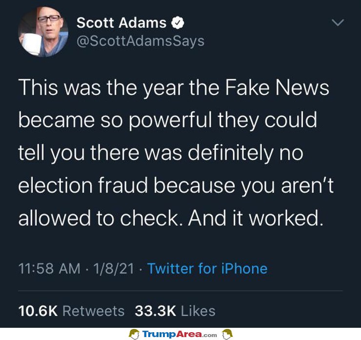 This Was The Year