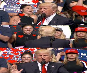 To Gaze At The Donald