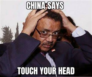 Touch Your Head