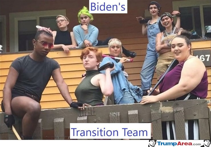 Transition Team