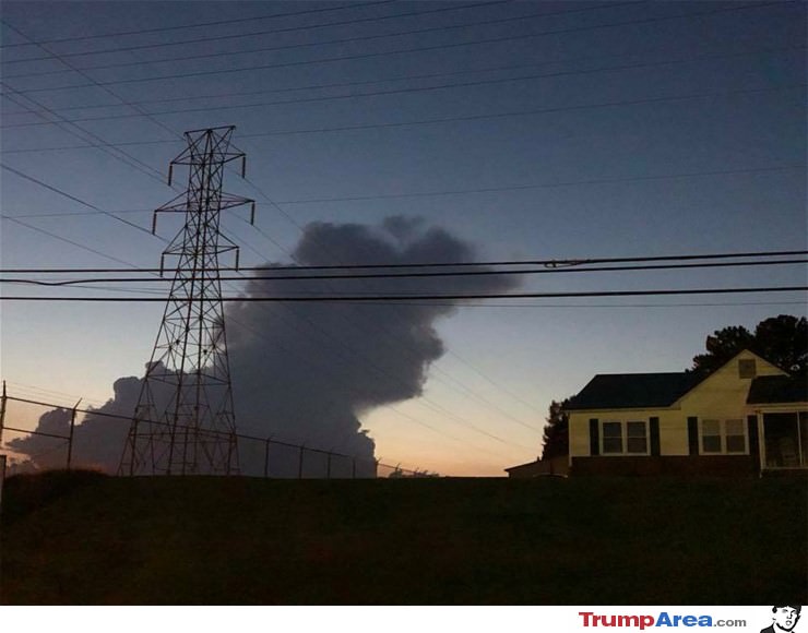 Trump Clouds