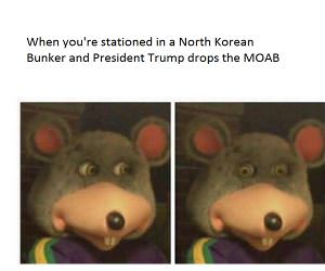 Trump Dropped What Now